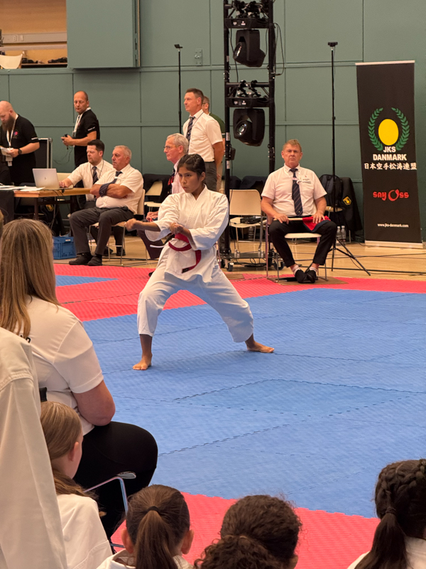 6thJKSContinentalKarateCup2025-09-34